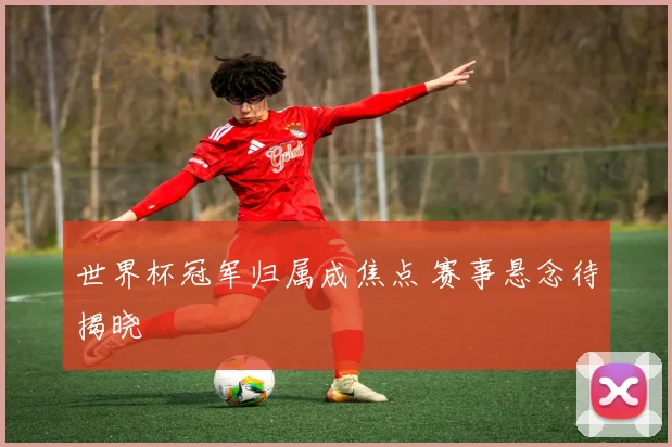 世界杯冠军归属成焦点 赛事悬念待揭晓