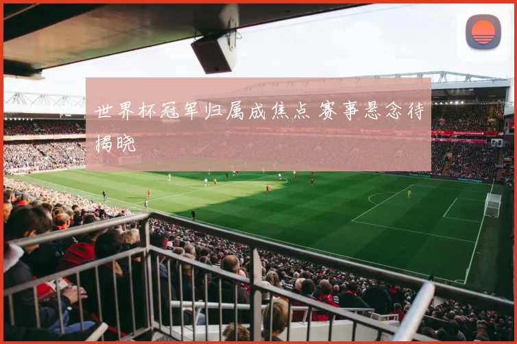世界杯冠军归属成焦点 赛事悬念待揭晓