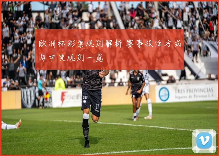欧洲杯彩票规则解析 赛事投注方式与中奖规则一览